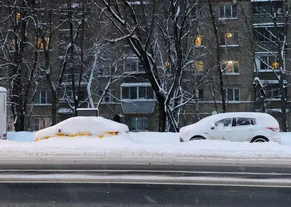Такого разгула стихии не было 81 год: Москву завалило снегом