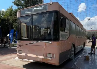Художник из Северска преобразил общественный транспорт в Томске