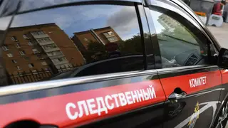 В Красноярском крае осудят директора школы за халатность