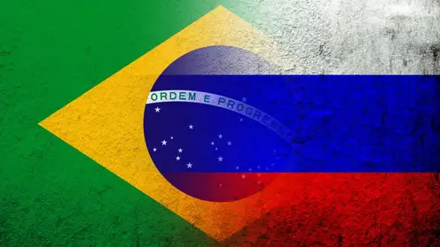 «БРИКС: в зеркале времен». В чем совпадают интересы РФ и Бразилии