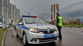 В Красноярске госавтоинспекторы задержали нарушителя ПДД с помощью системы розыска