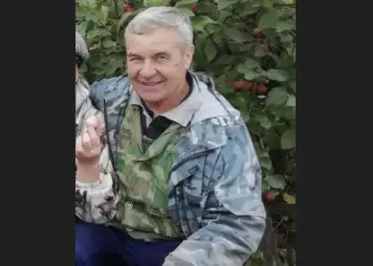 В Красноярском крае ищут пропавшего в лесу пенсионера