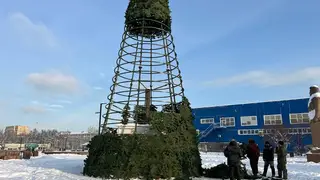 Новогоднюю ёлку начали устанавливать на площади Свердлова в Красноярске