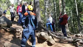 Спасатели в нацпарке «Красноярские Столбы» за сутки три раза выручали туристов