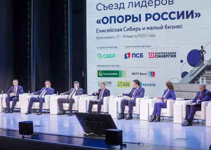 Для социальных предпринимателей Красноярского края появятся новые меры поддержки