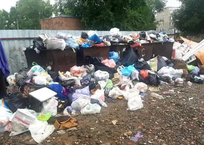 Минусинск и юг Красноярского края столкнулись с мусорным коллапсом