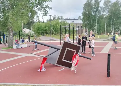 Баскетбольное кольцо упало на голову 12-летнего мальчика на детской площадке в Дивногорске