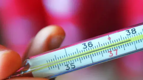 В красноярских школах и детсадах по-прежнему при входе измеряют температуру тела