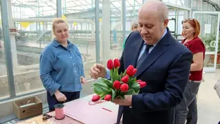 В Хабаровске ко Дню города высадят миллион цветов
