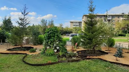 137 заявок подали жители Красноярска на конкурс по озеленению дворов