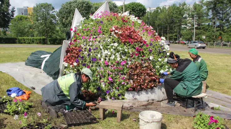 В Красноярске в сквере Степанова появился большой цветочный букет