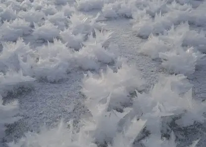 Жители Томска на реке заметили необычные «ледяные цветы»