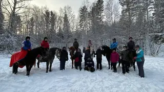 В Железногорске потерявшихся в лесу людей будут искать волонтёры на лошадях