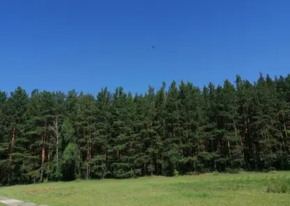 Режим чрезвычайной ситуации в лесах ввели в Красноярском крае