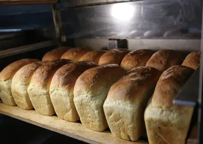 В хлебопекарне Красноярского края изъяли 17 килограммов небезопасных продуктов