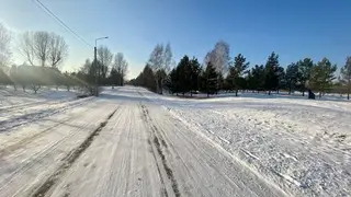 В красноярском Татышев-парке готовят лыжную трассу для забегов