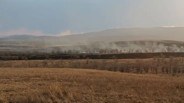 В Красноярском крае неизвестные подожгли сухую траву
