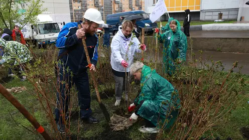 В Красноярске в седьмой раз прошла экологическая акция РУСАЛа «Сиреневый день»