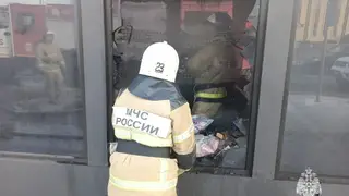 В Красноярске сгорел цветочный павильон на правом берегу
