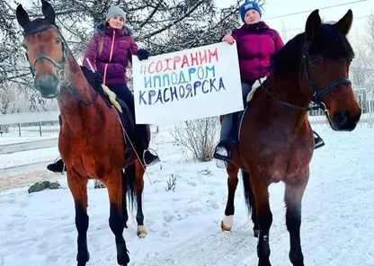 Активисты организовали сбор подписей в защиту красноярского ипподрома