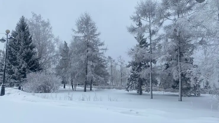 -4 градуса и отсутствие осадков прогнозируют в Красноярске 29 декабря