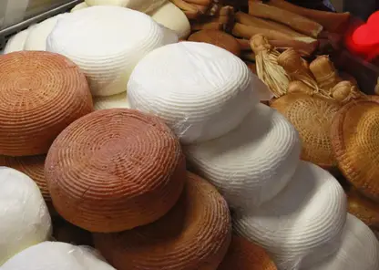В Томске для производства сыров ищут замену импортным закваскам