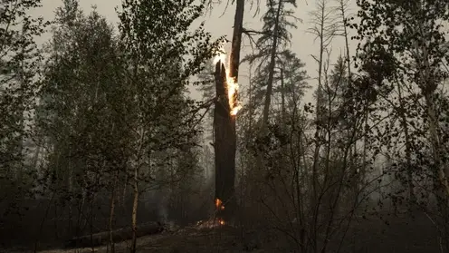 Число пожаров в Якутии сократились в два раза