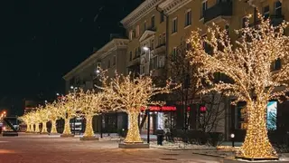В Красноярске до конца февраля уберут световые деревья