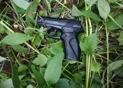 В Красноярском крае пьяный мужчина угрожая пистолетом отобрал у девушки 35 рублей