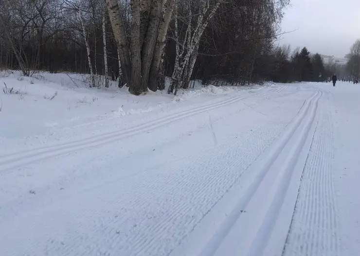 В Красноярске на острове Татышев проложили лыжню