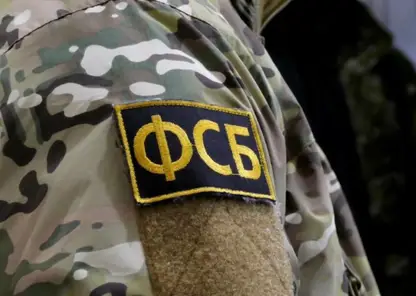 В Красноярском крае сторонника боевиков осудили на 9 лет лишения свободы