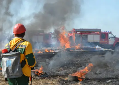 Лесной пожар в Красноярском крае потушили с помощью двух самолётов