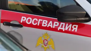 В Кузбассе мужчина на автомобиле протаранил ворота детского сада