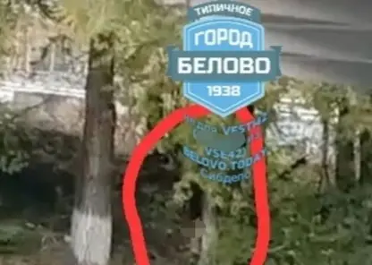 В Кемеровской области возле ТЦ заметили онаниста