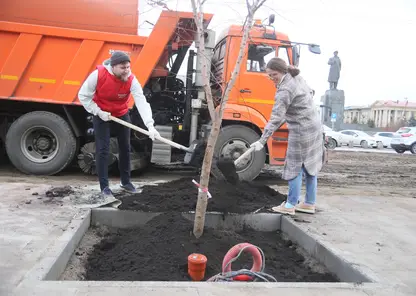 РУСАЛ организовал акцию по высадке деревьев входной группы Центрального парка вместе с активными жителями Красноярска