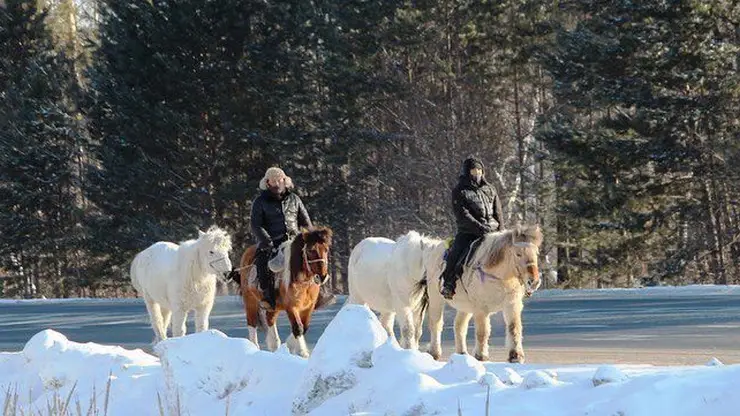 В центре Якутска появится памятник лошадям 