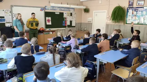 Красноярским школьникам рассказали, как уберечь лес от пожара