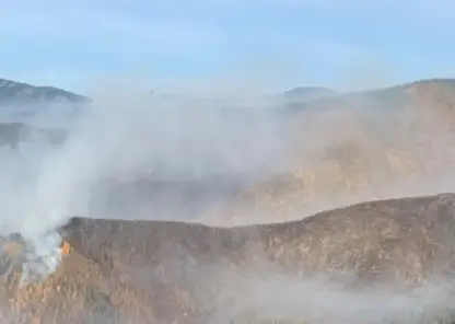 51 лесной пожар ликвидировали в Хабаровском крае