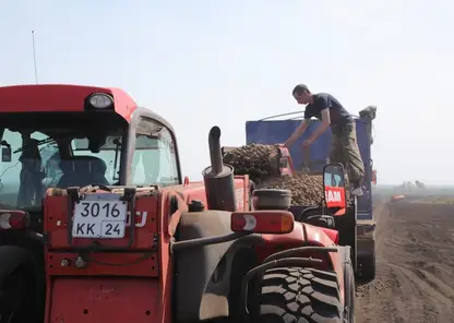 В Красноярском крае сельхозкооперативы могут получить 20 млн рублей