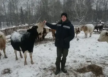 В Красноярском крае шесть ветеринаров получат деньги на покупку жилья