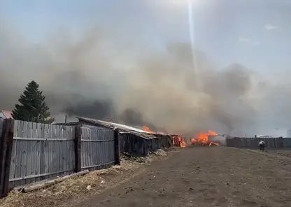 В селе Белый Яр Ачинского района пожар уничтожил улицу