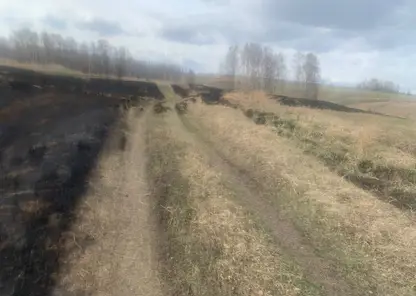 12-летний ребенок из Красноярского края хотел узнать, как горит сухая трава и поджег ее