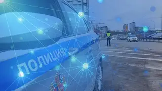 В Красноярске госавтоинспекторы с помощью системы «Паутина» задержали 117 нарушителей