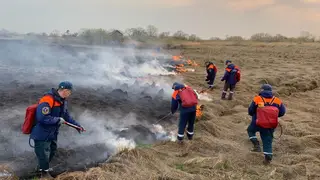В Хабаровском крае объявили режим ЧС из-за лесных пожаров