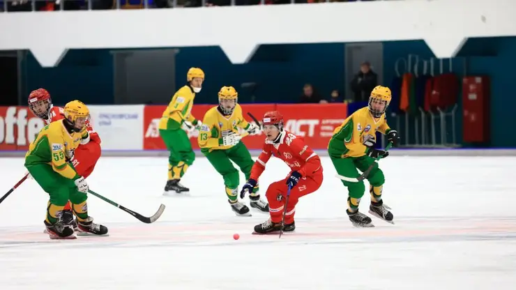 Хоккеисты красноярского «Енисея» дома проиграли «Воднику» из Архангельска