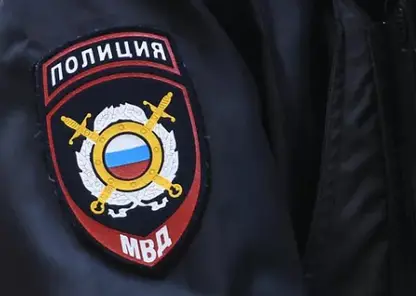 В Красноярском крае полицейские нашли пропавшую семью с годовалой девочкой