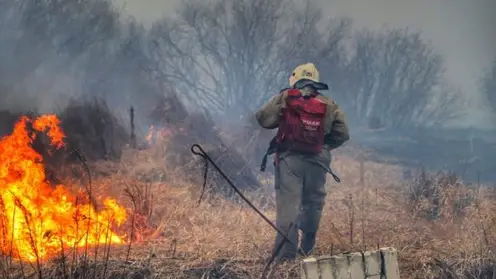 На границе Горно-Алтайска и Маймы пожар растянулся на 15 км