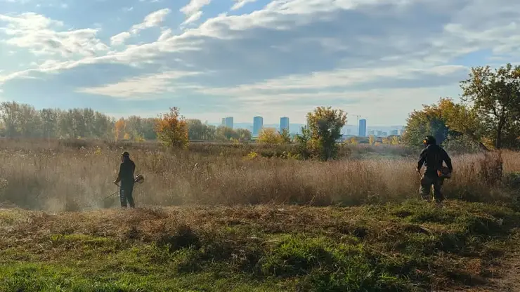 В Красноярске косят траву для профилактики пожаров