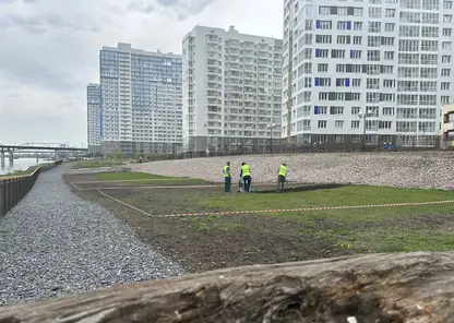В Красноярске в «Тихих Зорях» обустраивают площадку для выгула собак