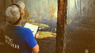 В лесных пожарах Якутии виноваты природные явления